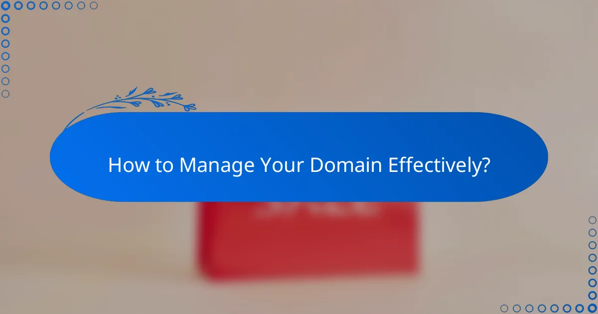 How to Manage Your Domain Effectively?