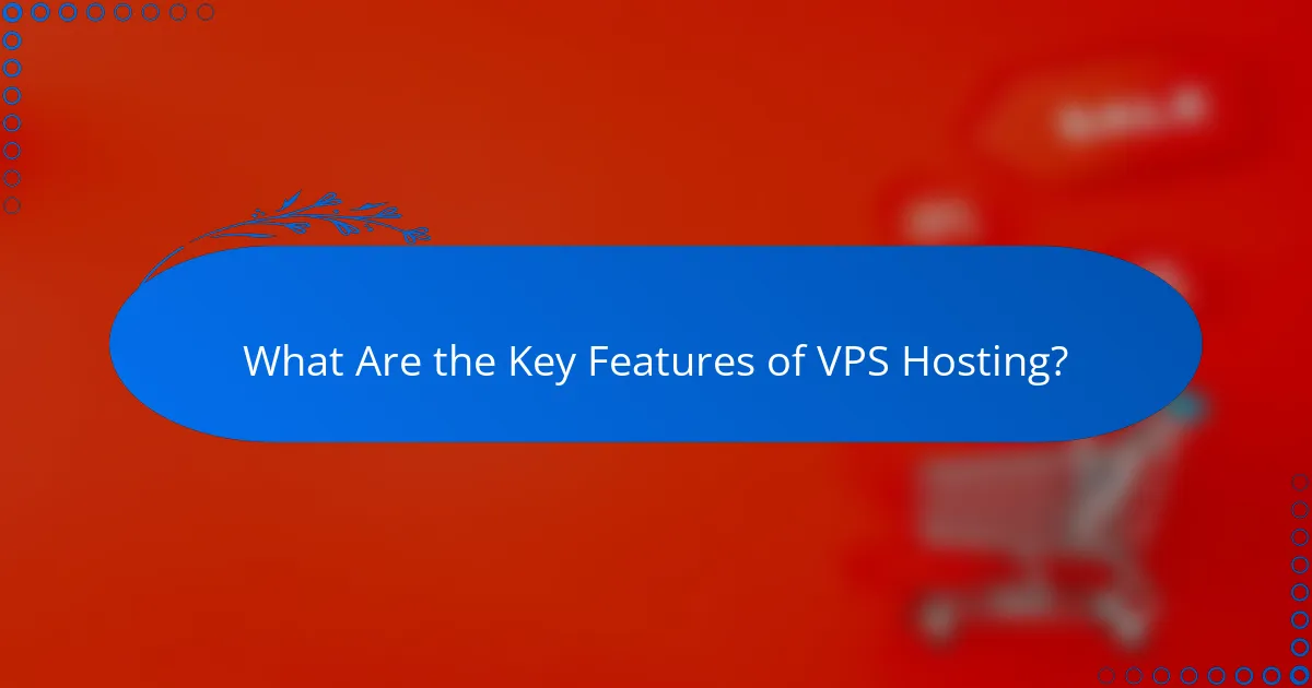 What Are the Key Features of VPS Hosting?